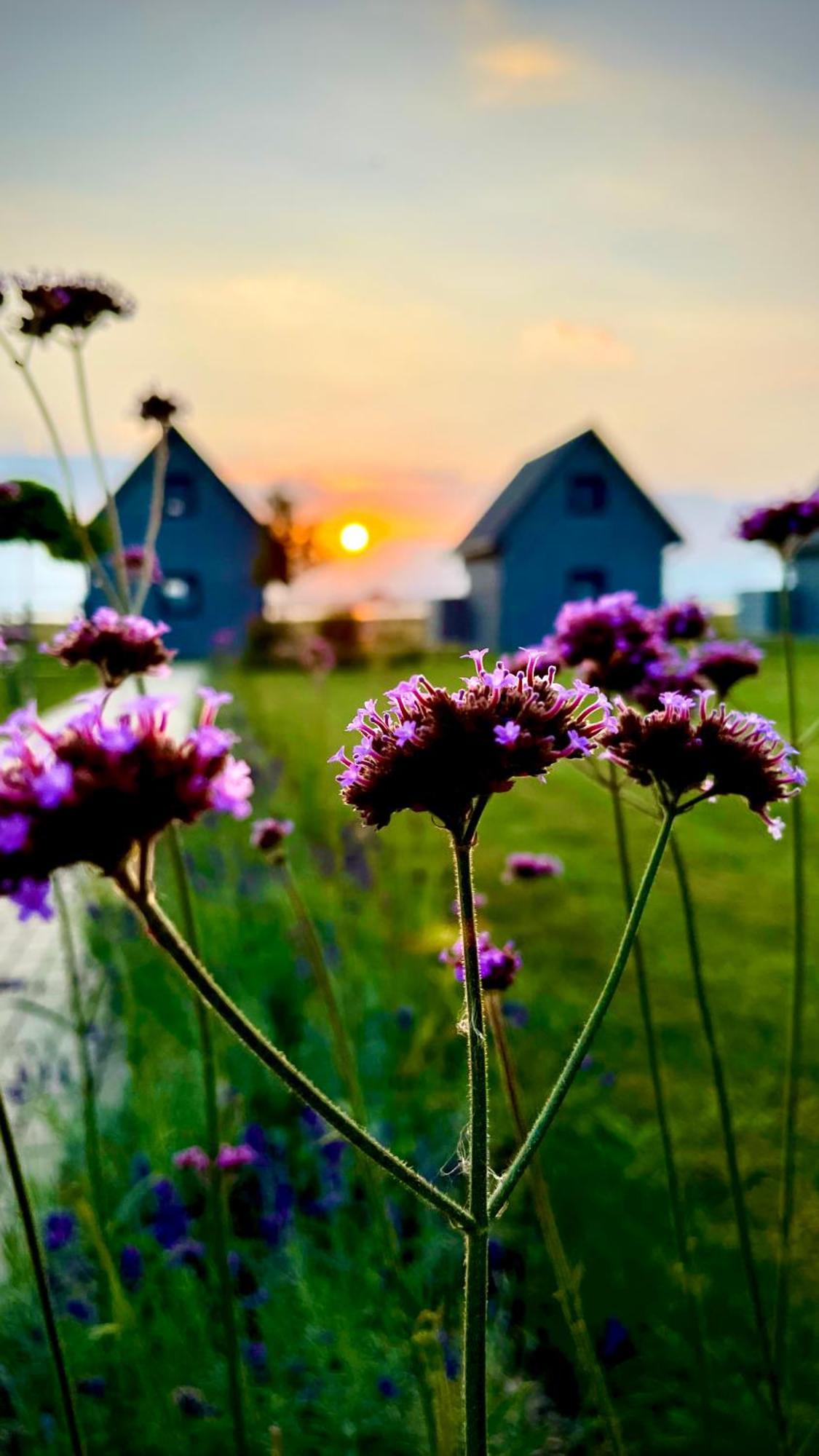 Vila Sloneczna Przystan Dziwnówek Exteriér fotografie