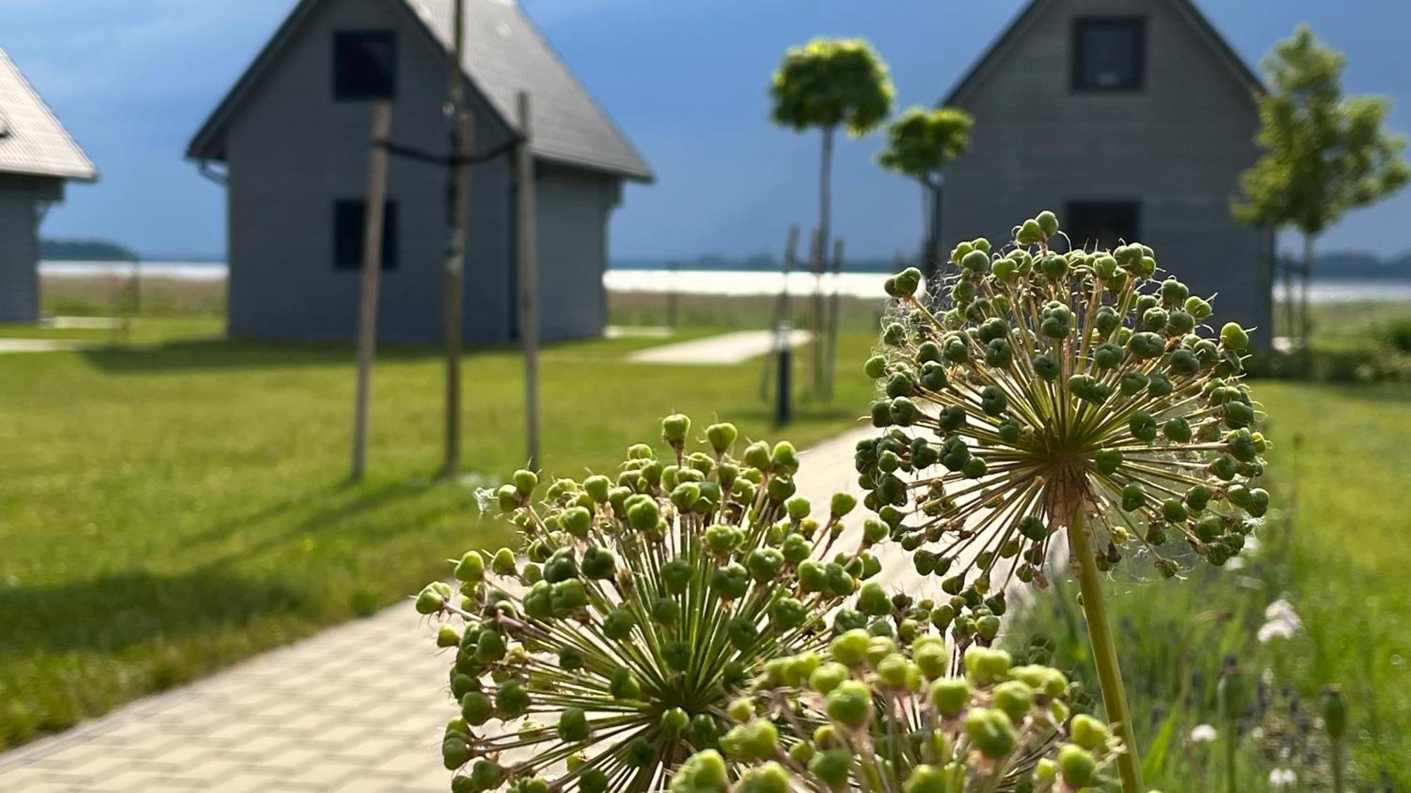 Vila Sloneczna Przystan Dziwnówek Exteriér fotografie