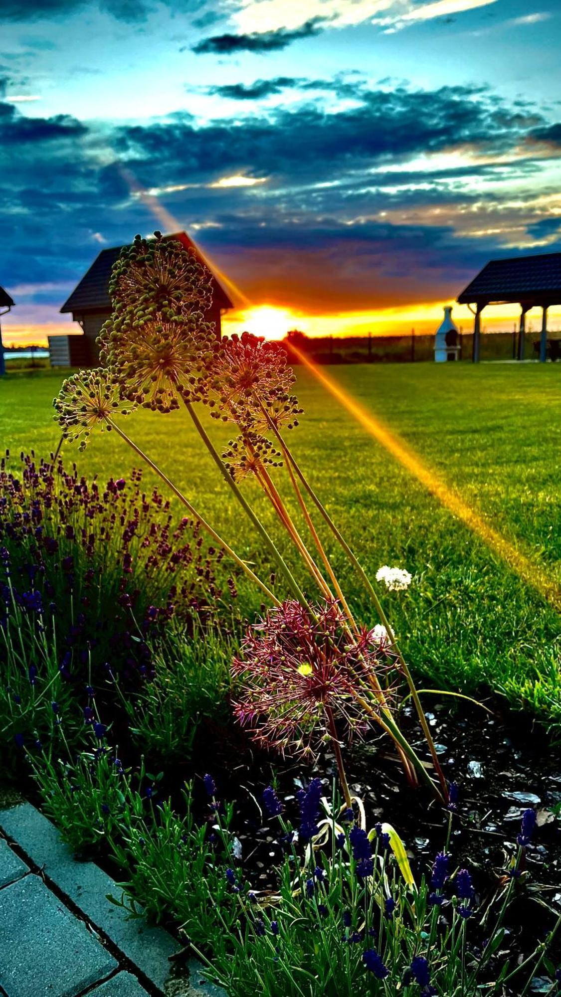 Vila Sloneczna Przystan Dziwnówek Exteriér fotografie